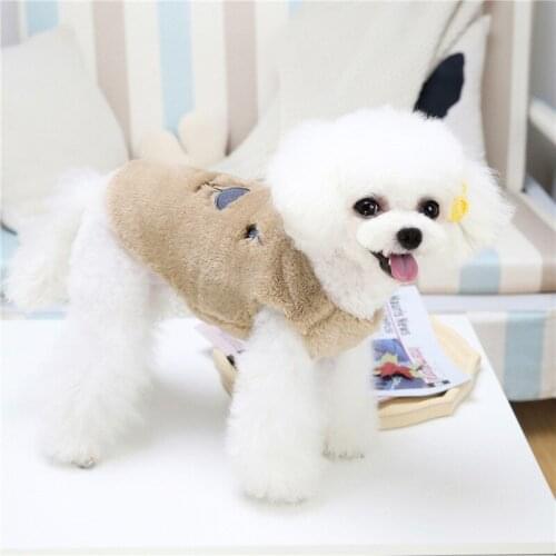 Dog Clothes New Autumn and Winter Warm Plush Small Dog Cat Pet Two-legged Cotton Coat Baby Bear Print Dog Costume
