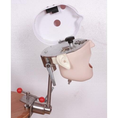 Simulation Dental surgery practice head mold Dental tooth model teaching instrument Dental consumables preparation tooth