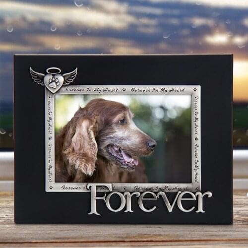 LASODY Forever in Our Hearts Dog and Cat Memorial Zinc Alloy Photo Frame Fits 4x6 Inch Picture Frame Pet Growth Memorial Book