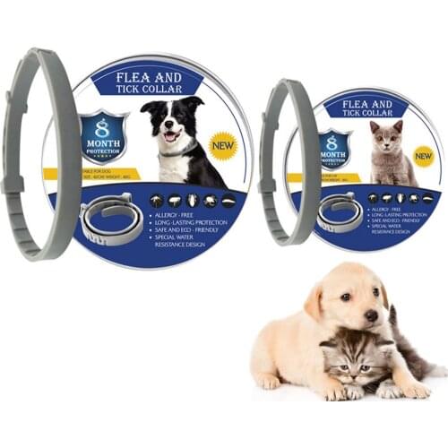 New 8 Months Long-term Protection Pet Dog Cat Collar Adjustable Anti Flea Ticks Mosquitoes Outdoor Cat Accessories