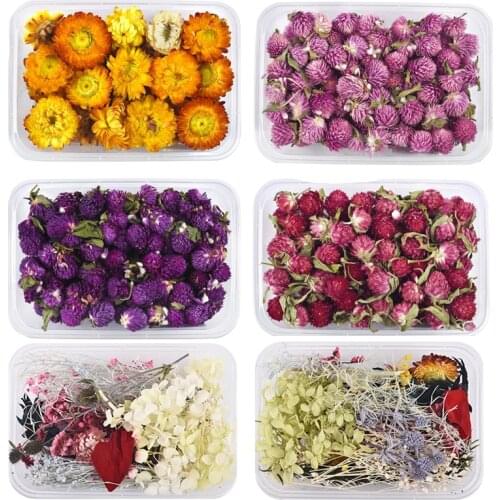 DIY Dried Flowers Chrysanthemum Resin Filling DIY Crystal Epoxy Resin Crafts Incense Decoration Jewelry Making Accessories