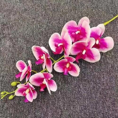 Simulation Phalaenopsis Silk Ornament Artificial Flowers Orchid Stem Latex Orchids Home Garden Plastic Decoration Fake Floral
