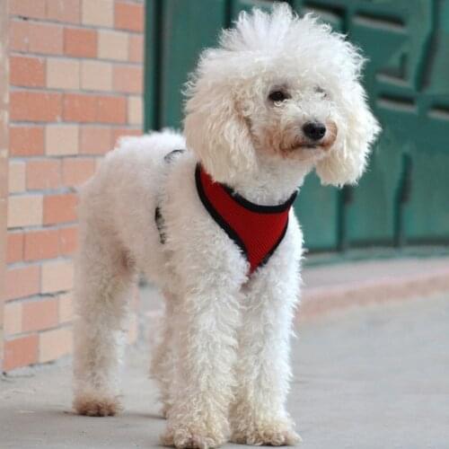 Pet Dog Cat Harness Vest With Leash Nylon Material Soft Comfortable Cute Bowknot Harness Dog Cat Harness For Walking