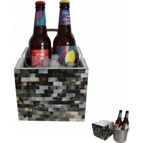 Double Small Acrylic Buckets Beer Bottle Mini Seashell Ice Bucket Cooler