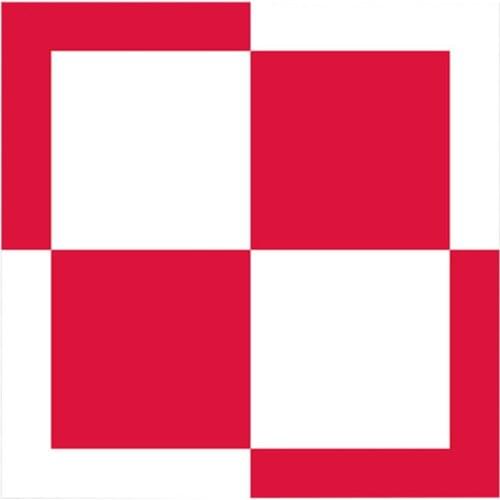 10*10cm Polish Air Force Decal Sticker Poland Car Trunk Window Vinyl