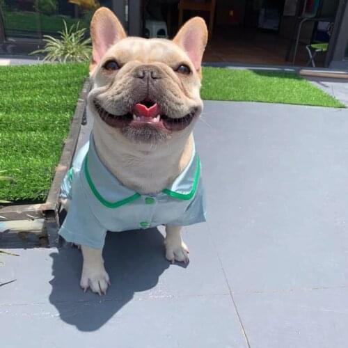 Summer Breathable Pet Dog Pajamas for Small Medium Dogs Luxury French Bulldog Shirt Puppy Dogs Pets Clothing PDC0107