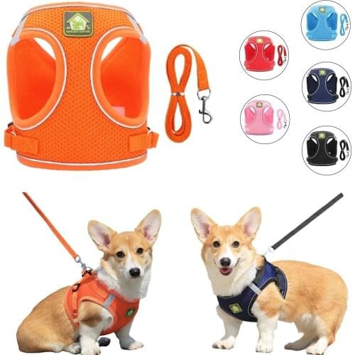Dog Harness And Leash Set Pet Cat Correa Perro Szelki Dla Psa Arnes Para Harnais Chien Pour Chat Reflective Breathable Mesh Vest
