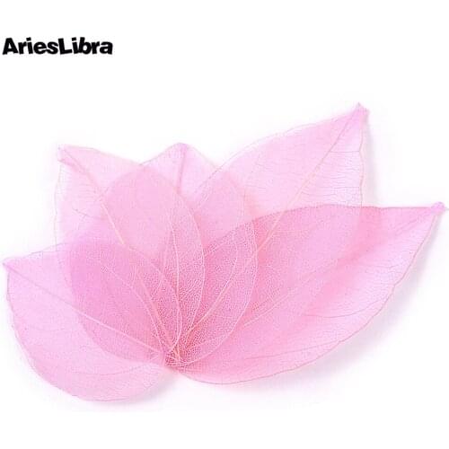 AriesLibra 1 Pack Dried Leaves Nail Decorations 6 Colors Natural Flower Leaf Stickers For UV Gel Polish 3D Nail Art Designs