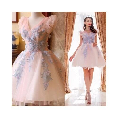 Free ship light pink light sky blue embroidery flowers tutu lovely sleeve short lolita dress