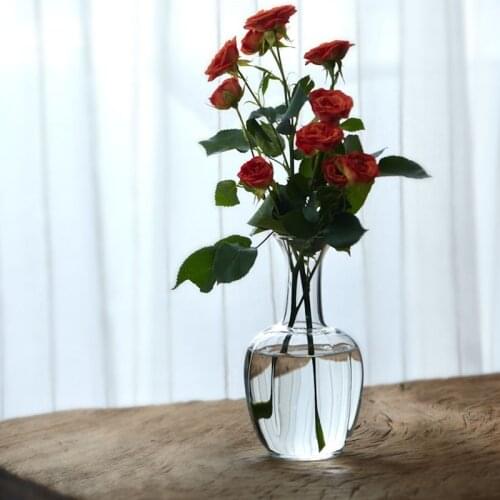 Japanese Style Flower Vase Transparent Glass Vase Hydroponics Plant Container Dried Flowers Holder Crafts Home Decoration Gift