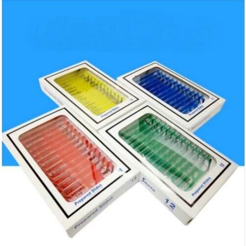 Free Shipping 4box/lot Microscope Plastic Slides, Biological Specimen Slides Safe for Children School and Laboratory Supplies