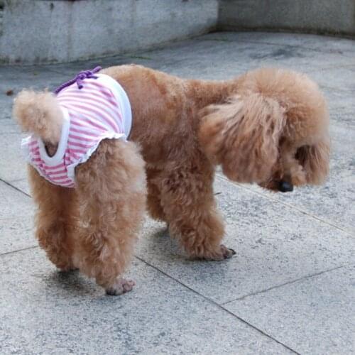 Dog Diapers Physiological Pants Washable Female Dog Shorts Girl Dogs Underwear Sanitary Panties Pet Dog Menstruation Briefs