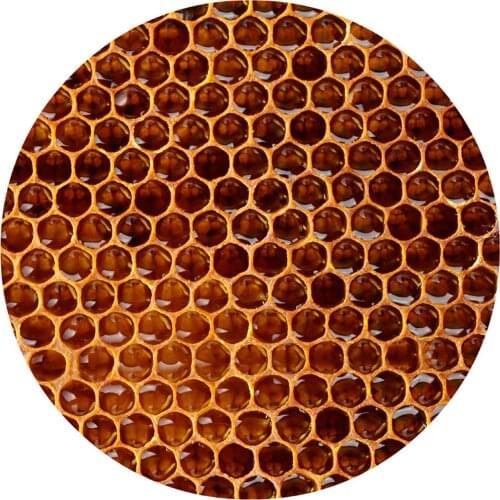 Non-metal deviss Bee Hives