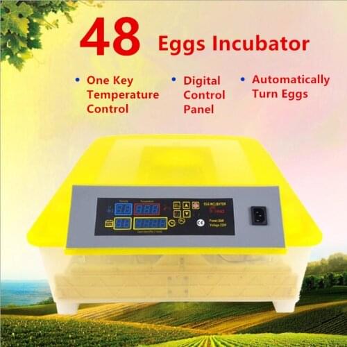 New 220V 48 Eggs Small Home Chickens Ducks Birds Full Automatic Intelligent Temperature Control Egg Incubator