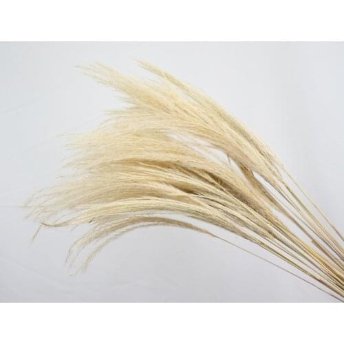 100Pcs Natural Dried Pampas Grass Decor Real Artificial Plants Dried Flowers Bouquet for Wedding Room Venue Layout Decoration