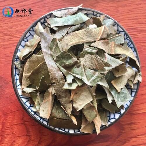 Loguat Leaf Folium Eriobotryae Eriobotrya Japonica Pi Pa Ye