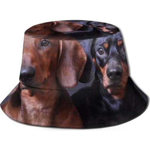 CINESSD Cute Dachshund Dogs Bucket Hat Summer Hats Fisherman Hat Foldable Women Men Sunscreen Shade Caps