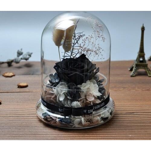 10*12cm Fission Glass Dome Vase Home Decoration Creative Transparent Cover Friend Favor Gift Wedding Prop