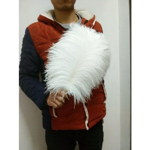 Wholesale 50 pc high quality white ostrich feather 12-14inches / 30-35CM diy decorative vases / Accessories / Apparel