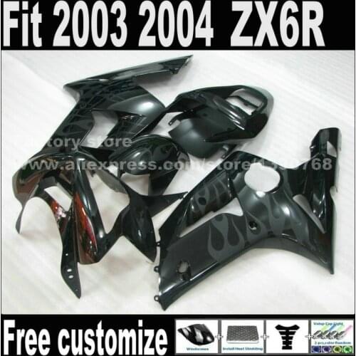 Factory Directly Bodywork For Kawasaki ZX6R Fairings 2003 2004 Ninja 636 Gray Flames In Black Fairing Kit ZX-6R 03 04 ZX636 Set
