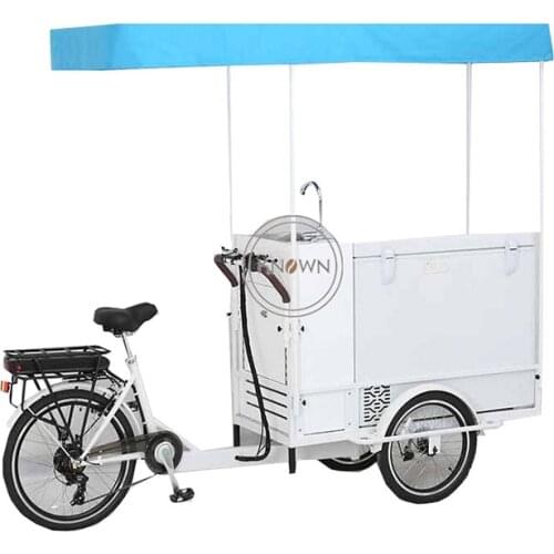 KN-T06B new design with refrigerator tricycle aluminum electric bike cargo / electric cargo bike