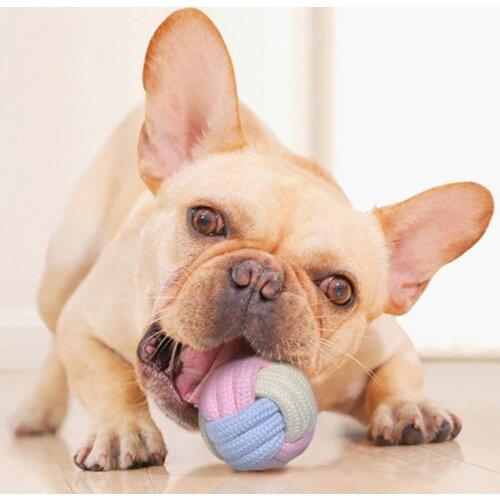 Pet Toy Eco-friendly Multi-color Soft Rubber Pick Up Sticks Toy for Dog