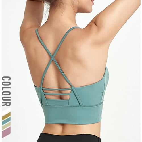Women Sportswear Workout Sports Top Push Up Padded Sports Bra High Stretch Gym Fitness Yoga Running Bras Seamless Crop Tops