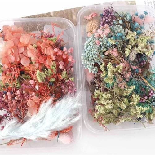 Dried Flowers A Box Aromatherapy Floating Flowers Flower heads Making Craft DIY Accessories