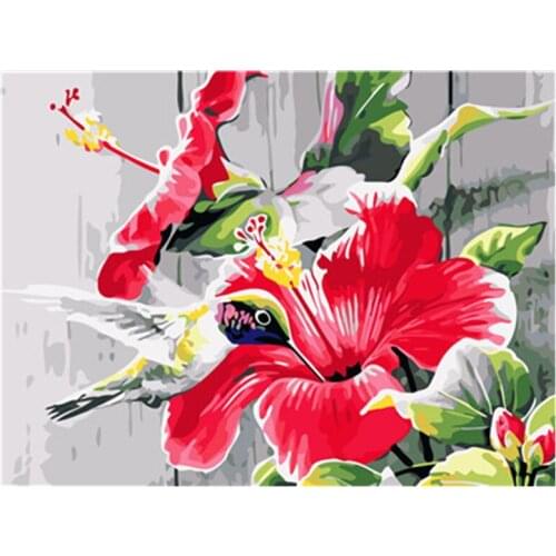 Frameworks DIY Oil Painting by Numbers on Canvas Wall Flower pictures Hummingbird Paintings Pictures for Living Room Home Decor