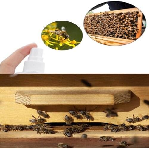 60ml Bee Induced Spray Easy To Attractant Bees Set Honey Apicultura Up Trap Hive Tools Equipment Bait Beekeeping Lu O9K8