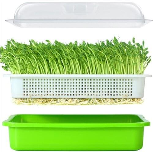Seed Sprouter Tray BPA Free PP Soil-Free Large Capacity Healthy Wheatgrass Grower with Cover Seedling Sprout Plate Hydroponic