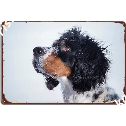 English Setter 2 Poster Metal Plaque Create Wall Cave Mural Painting Party Tin Sign Posters