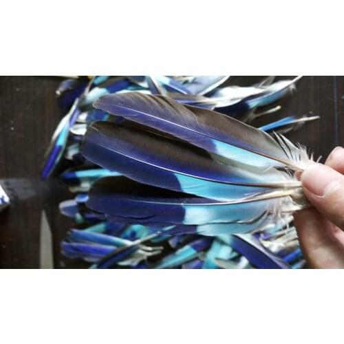 Wholesale free shipping high quality rare 100pcs Natural pheasant feathers 7-10cm/3-4inch Decoration collect diy