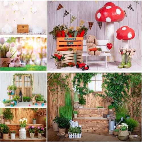 Easter Eggs Rabbit Photography Backdrops Photo Studio Props Spring Flowers Child Baby Portrait Photo Backdrops 21318FH-38
