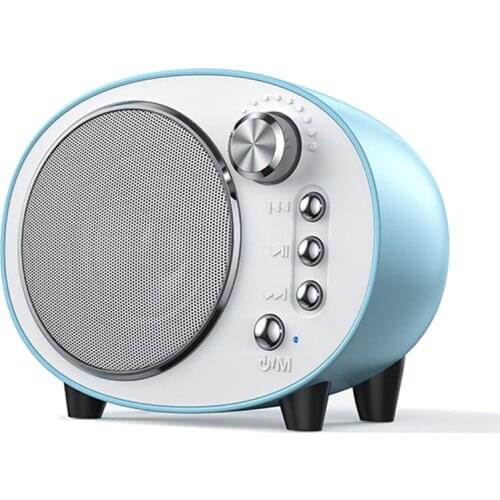 FOXSUR Portable Speakers