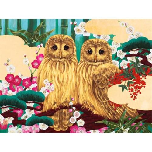 Full Square Diamond Painting Set Cartoon Animal Owl5D DIY Diamond Embroidery Owl Pictures of Rhinestones Mosaic Craft Kit