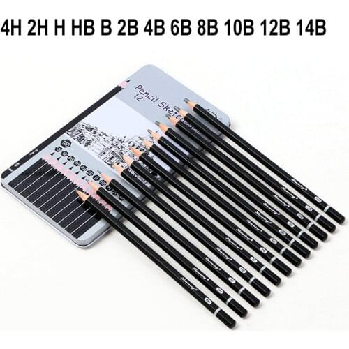 DELVTCH Graphite Pencils