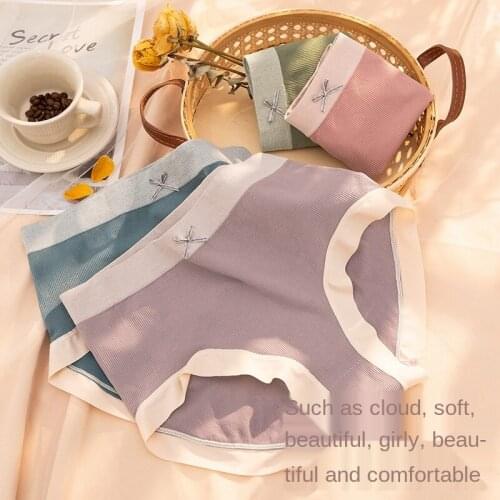 New Womens Underwear Sexy Solid Color Panties Plus Size Fashion Comfort Briefs Mid Waist Seamless Underpants Female Lingerie