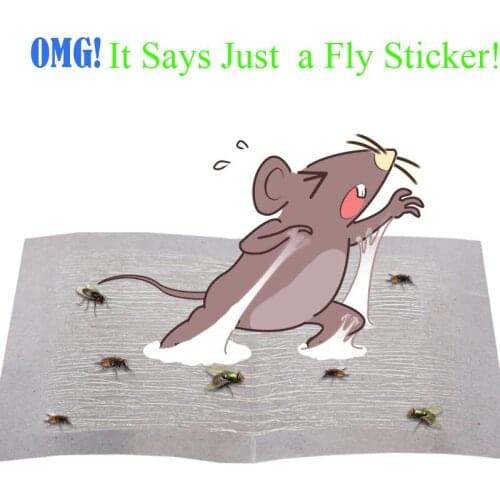 BITWUS Seeds