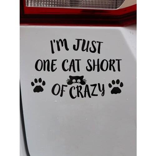 ZTTZDY 16.2*10.1CM Im Just one Cat Short of Crazy Car Sticker Vinyl Decal Black/Silver ZJ4-0145