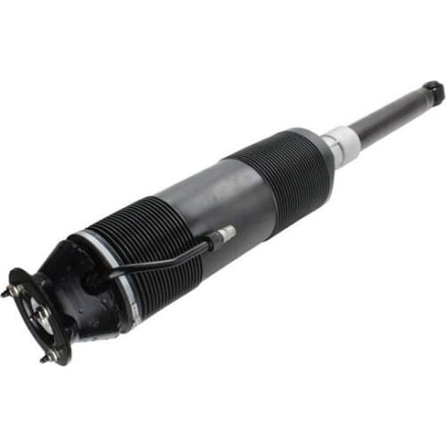 Left Rear Hydraulic Shock Absorber 2203206113 2203200913 2203209113 2203208913 Fit for Mercedes S CL Class S600 CL600 W220 W215