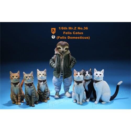 Mr.Z Studio 1:6 Cute Domestic Cat Pet Healing Figure Felidae Animal Model Toy Collector Desktop Decor Adult Decoration Gift