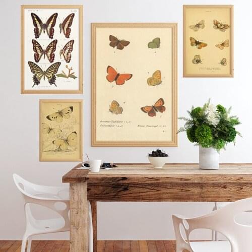 Butterflies Vintage Poster And Print Insect Antique Illustration Wall Art Canvas Painting Picture for Living Room Home Decor