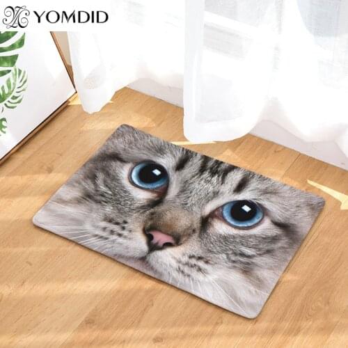 Cute Floor Mats Animal Cat Printed Bathroom Kitchen stair Carpets Doormats water absorbs rug for Living Room Anti-Slip Tapete