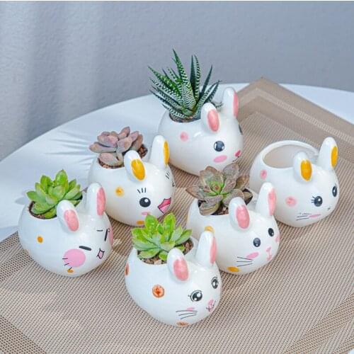 6Pcs Cartoon Animal Flowerpot Ceramic Meat Gardening Lovely Little White Rabbit Combination Ceramic Mini Pot Pots for Plants