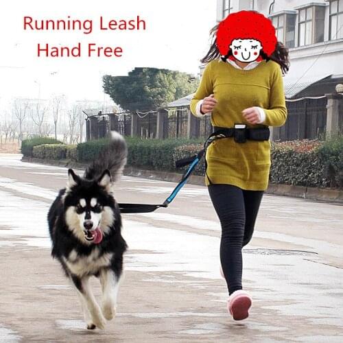 Hands Free Pet Dog Leash Running Jogging 1.9-2.5M Long Elastic Adjustable Dog lead Rope With Waist Bag Dog Cat Sport Waist Belt