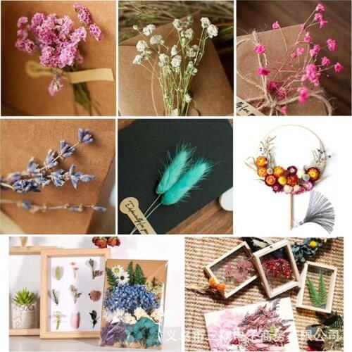 1 Pack Real Dried Flower Dry Plants For Aromatherapy Candle Epoxy Resin Pendant Necklace Jewelry Making DIY Craft Accessories
