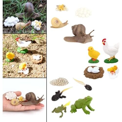 3set Kids Toy Simulation Animal Figures Set Growth Process Playset