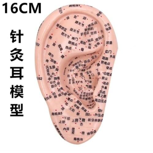 16CM Ear auricular Acupuncture Model, Ear Reflex Area Model, Central Meridian Tong Standard Acupoint Model, Massage Ear Model