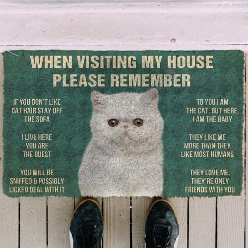 3D Please Remember Exotic Shorthair Cats House Rules Doormat Non Slip Door Floor Mats Decor Porch Doormat